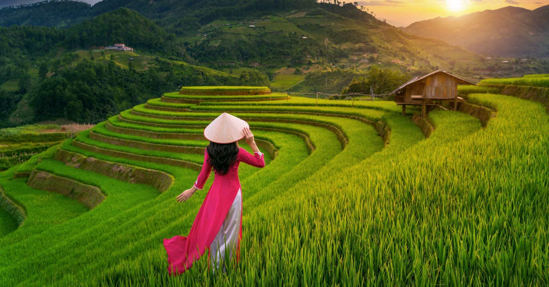تور ویتنام رویای زندگی
