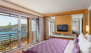 ااتاق دلوکس (Deluxe Room) در هتل Kefaluka Resort
